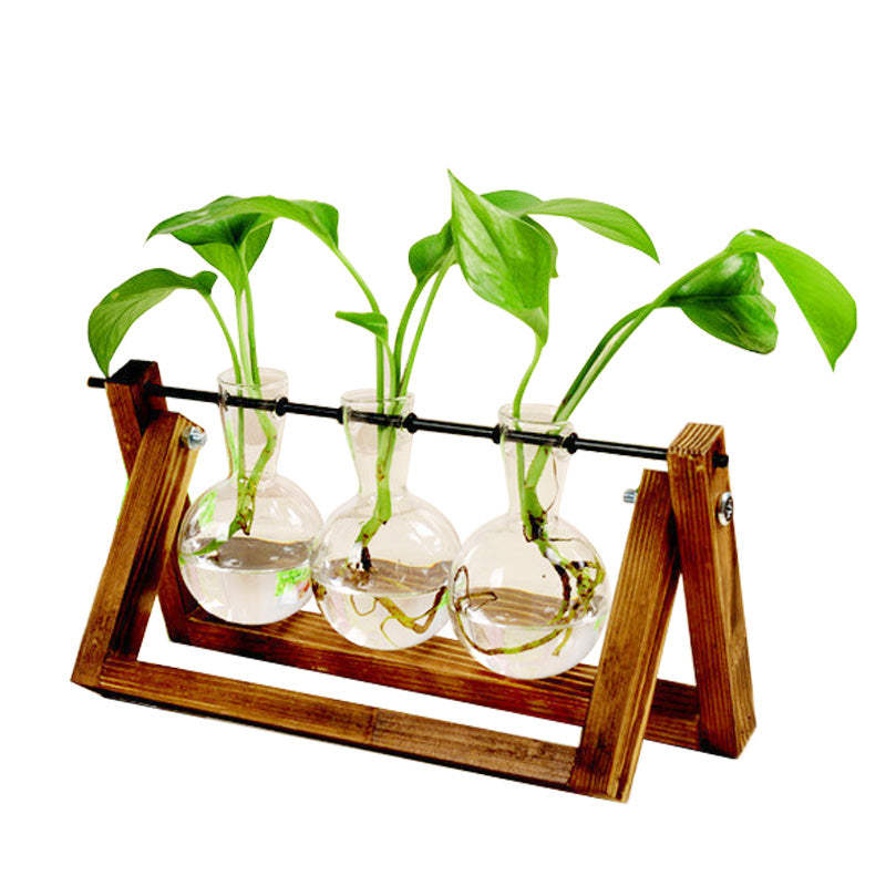 xxxflower plant terrarium with wooden stand with plants